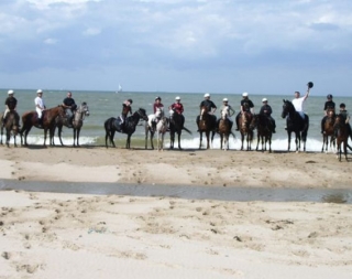 Sortie equestre a la plage